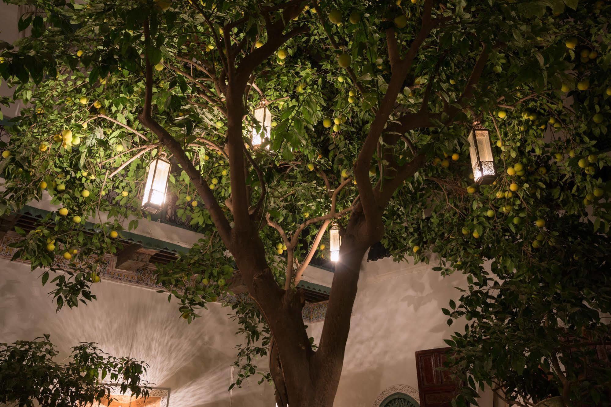 Origin Hotels Riad Magi Marrakesh Ngoại thất bức ảnh